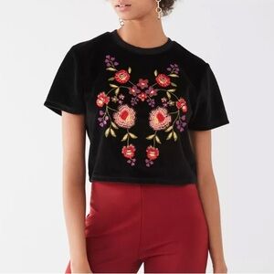Urban Outfitters Embroidered Velvet Crop Tee